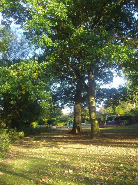 Northway Gardens Hampstead Garden © David Howard Geograph Britain And Ireland