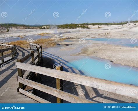 Parque Nacional De Yellowstone Wyoming Estados Unidos Imagen De