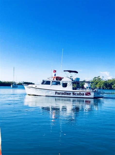 La Parguera Bioluminescent Bay Tour | Paradise Scuba & Snorkeling