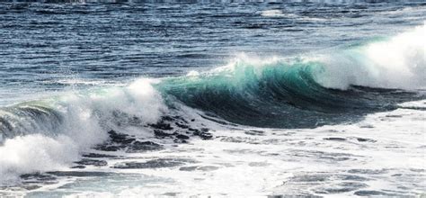 Qué está pasando con la temperatura del mar Anellides