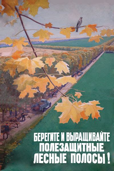 Плакаты, постеры, афиши: Агитационные плакаты