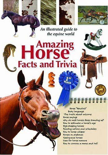 AMAZING HORSE FACTS AND TRIVIA - Mega Magazines