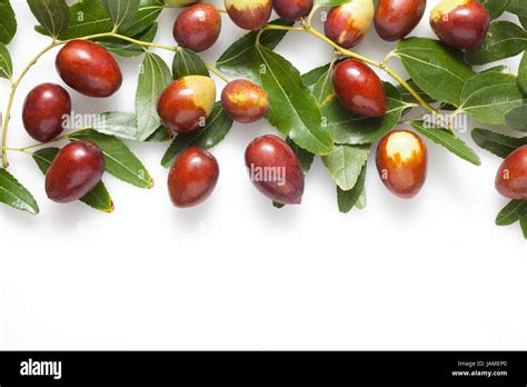 Fresh Jujube Fruits And Leaves Stock Photo Alamy