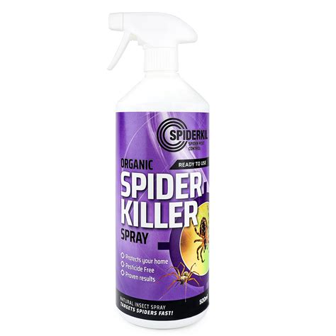 What Cleaning Spray Kills Spiders At Otis Griffin Blog