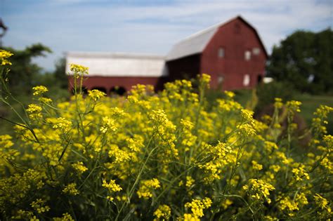 Subsistence Farming in the US — Johann Strube