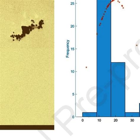 A Tem Image And B Size Distribution Graph Of Bee Pollen Synthesized