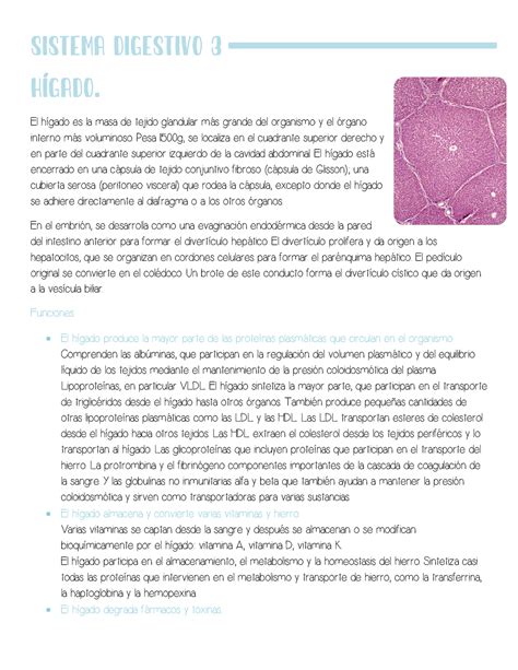 Sistema digestivo 3 resumen con preparados Histología El hígado