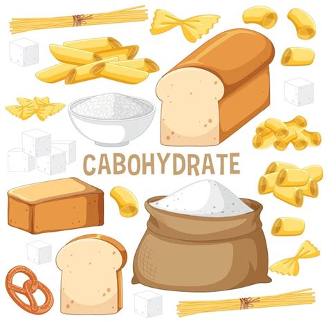 Variety Of Carbohydrates Foods Royalty Free Vector Image Clip Art Library