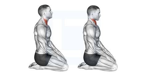 Neck Extension Stretch Guide Benefits And Form