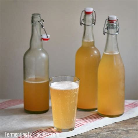 Sparkling Hard Cider Homebrew Recipe | Bryont Blog