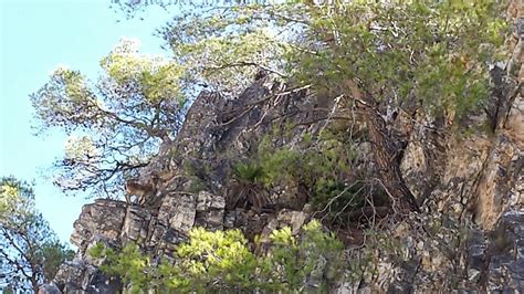 Grupo Senderista Comando Culebra V Lez M Laga Ruta Del