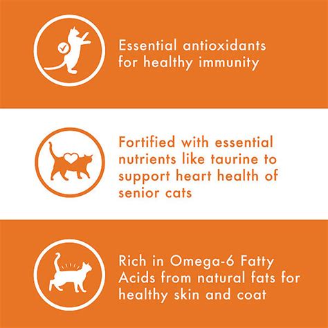 Nutro Whole Essentials Senior Indoor Natural Dry Cat Food For Healthy