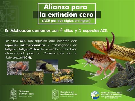 Secma Michoacán Cuenta Con 4 Sitios Y 5 Especies Dentro De La Alianza Para La Extinción Cero