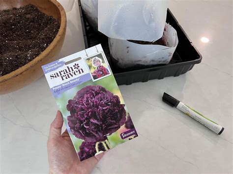 Best Seeds For Winter Sowing
