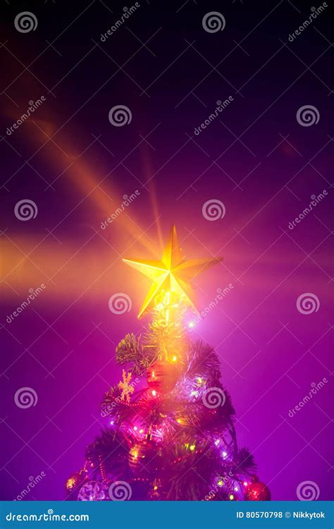 Christmas Tree With Shining Star Stock Photo Image Of Christmas