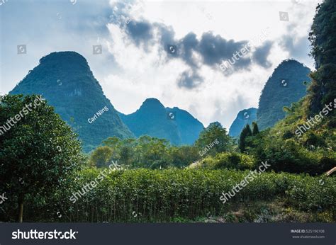 The Karst Mountains Scenery With Blue Sky Stock Photo 525196108 ...