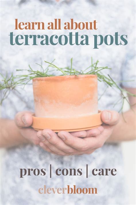 Pros Cons Terracotta Pots Terracotta Pots House Plant Care