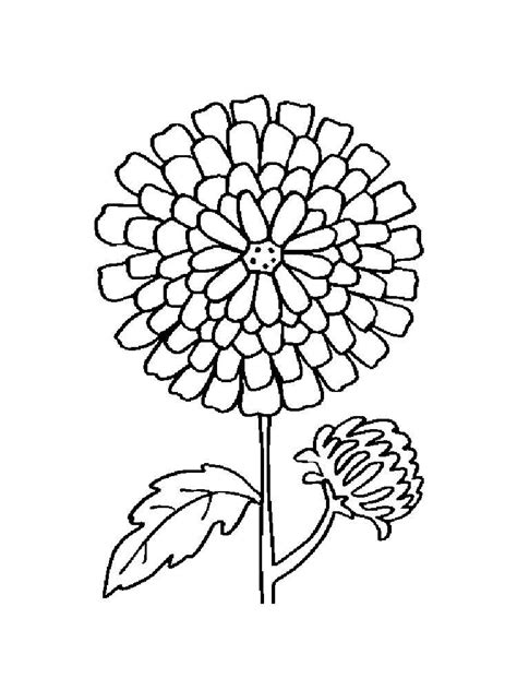 Marigold Flower Drawing For Kids / The logiclike team collected simple and exciting riddles for ...