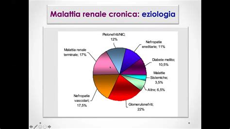 1 Medicina Interna Insufficienza Renale Cronica YouTube