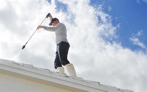 Delayed Roof Cleaning Process? Here Are The 6 Possible Reasons