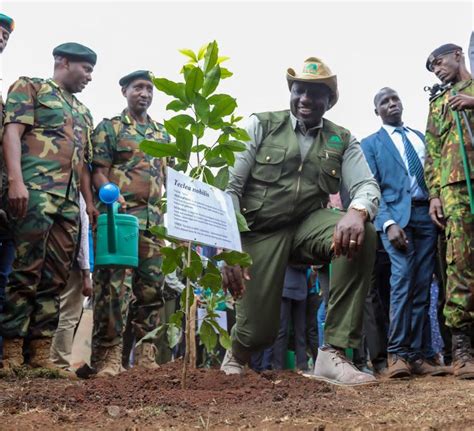 Kenya To Plant Million Trees On National Tree Growing Day Sauce Co Ke