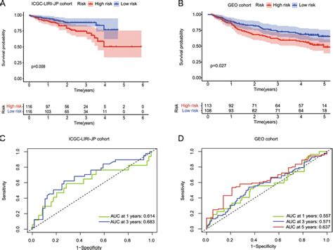 Validation Of The Risk Model In The Icgc Cohort And Geo Cohort A