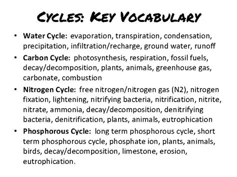 Biogeochemical Cycles Vocabulary Matching 1 2 3 4