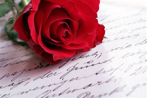 Rose Letter Old Design Photo Background And Picture For Free Download ...