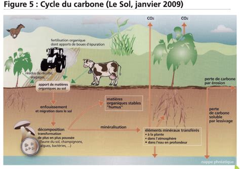 Revitaliser Les Sols Agricoles Cowgestion