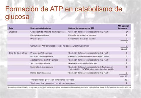 Cap Glucolisis Ppt