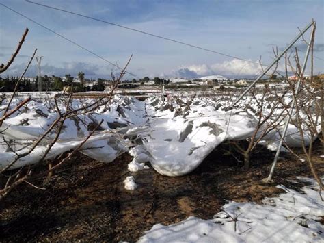 El Riesgo De Heladas De Finales De Primavera Ha Aumentado En Europa En