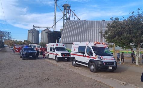 Personas Quedan Atrapadas En Bodega Tras Ataque De Abejas En Angostura