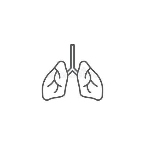 Human Lungs Vector Icon Symbol Isolated On White Background Stock