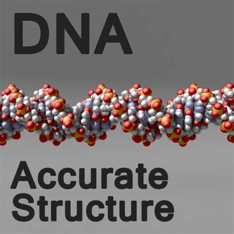 chromosome 3d model