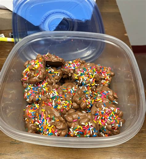 schoharie animal shelter 8