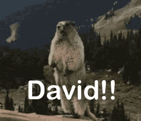 Yell Gopher GIF - Yell Gopher David - Discover & Share GIFs