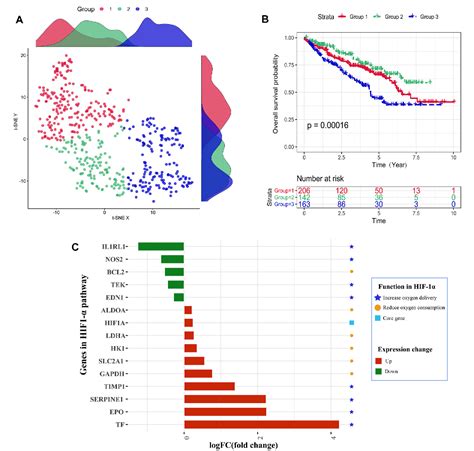 Table 1 From Identification Of Hypoxia Immune Related Gene Signatures