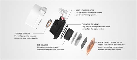 Specification