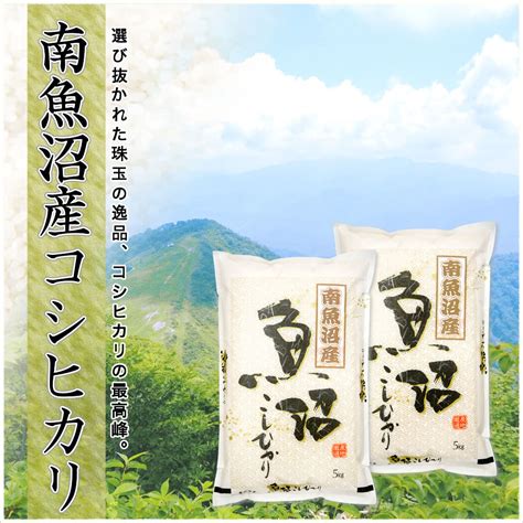 最大10offクーポン 令和4年産 南魚沼産 コシヒカリ 5kg 新潟県 南魚沼 Jaみなみ魚沼農協 特a地区 天地米 送料無料