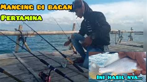 Mancing Di Bagan Tengah Pertamina Strike Ikan Samge Youtube