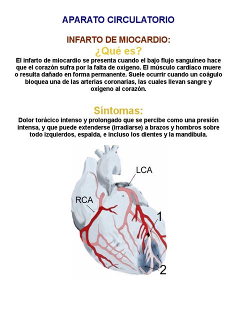 Pdf Aparato Circulatorio Dokumen Tips