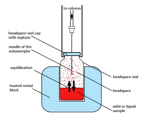 Headspace Gas Chromatography GC HS For Residual Solvent Analysis