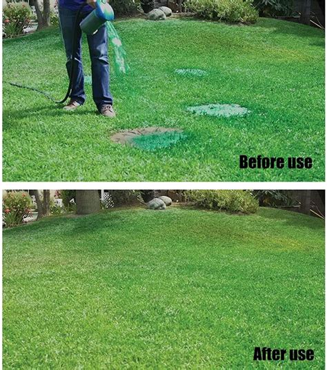 Spray On Grass Seed Review - Hydroseeding As Seen On TV