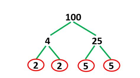 Factor Tree Method Definition What How To Build Examples