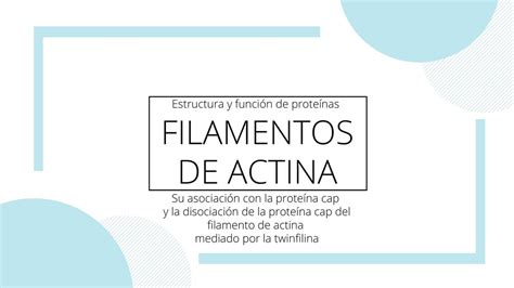 Seminario Estructura Y Funci N De Prote Nas Udocz