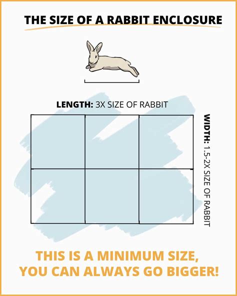 Rabbits Need More Space Than You Think