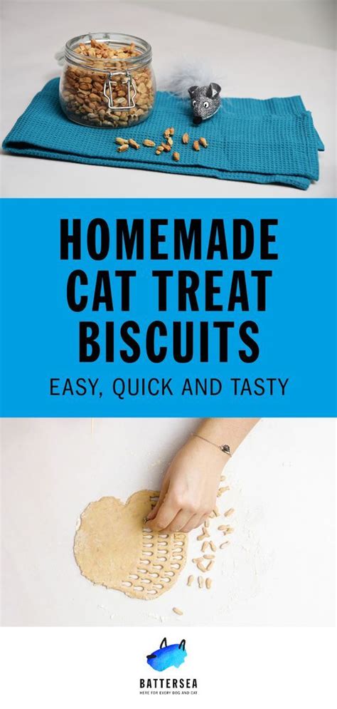 These Homemade Biscuit Treats For Your Cat Contain Just Three