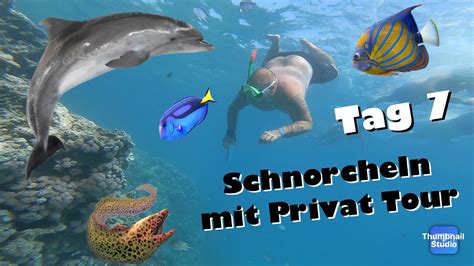 Gypten Tag Private Schnorchel Tour Zu Geheimen Spots