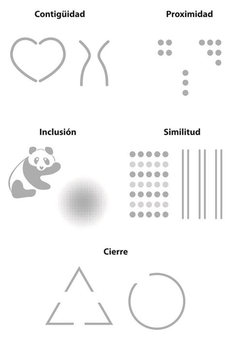 Leyes De La Gestalt Cómo El Cerebro Domina Nuestra Percepción