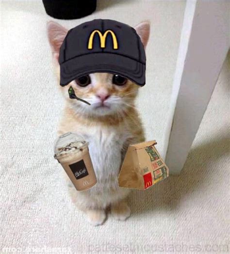 Dudul McDonald Worker Chat Trop Mignon Photo Profil Chat